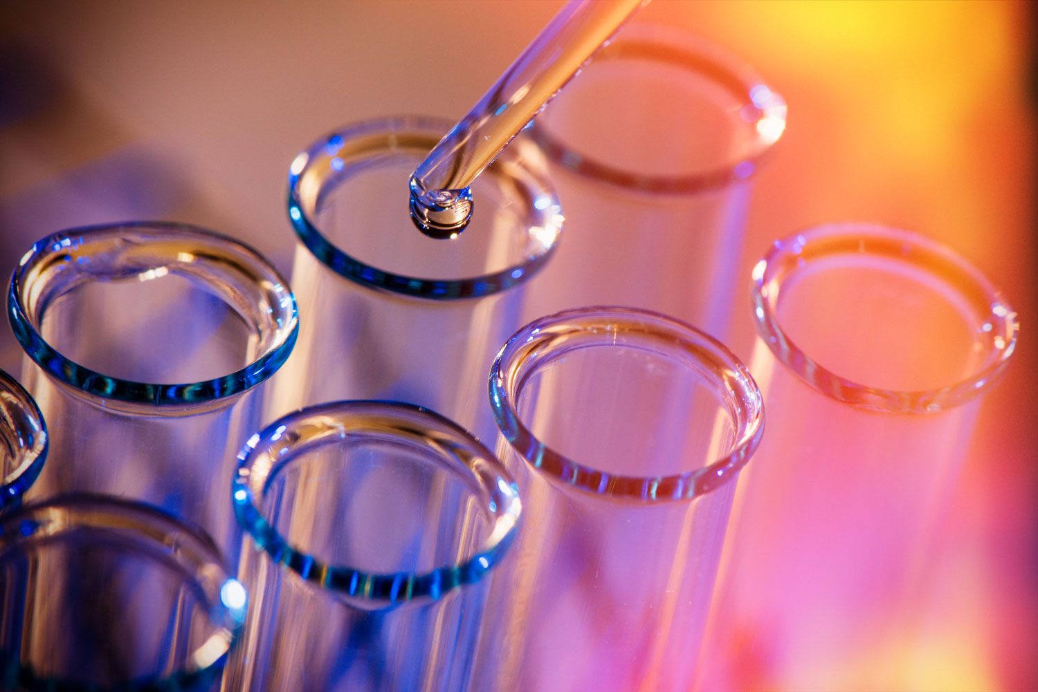 Biotechnologie